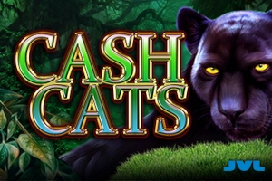 11544 cash cats