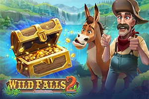 16715 wild falls 2