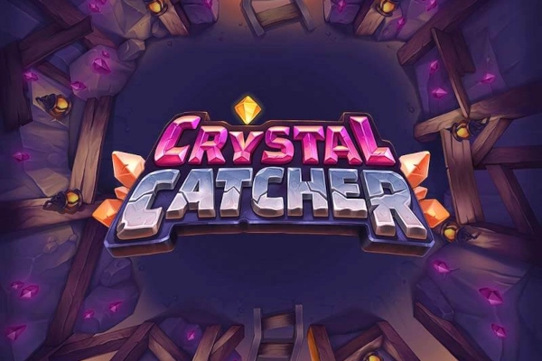 18720 crystal catcher