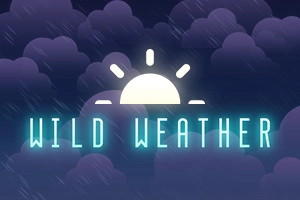 24245 wild weather